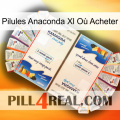 Pilules Anaconda Xl Où Acheter kamagra1